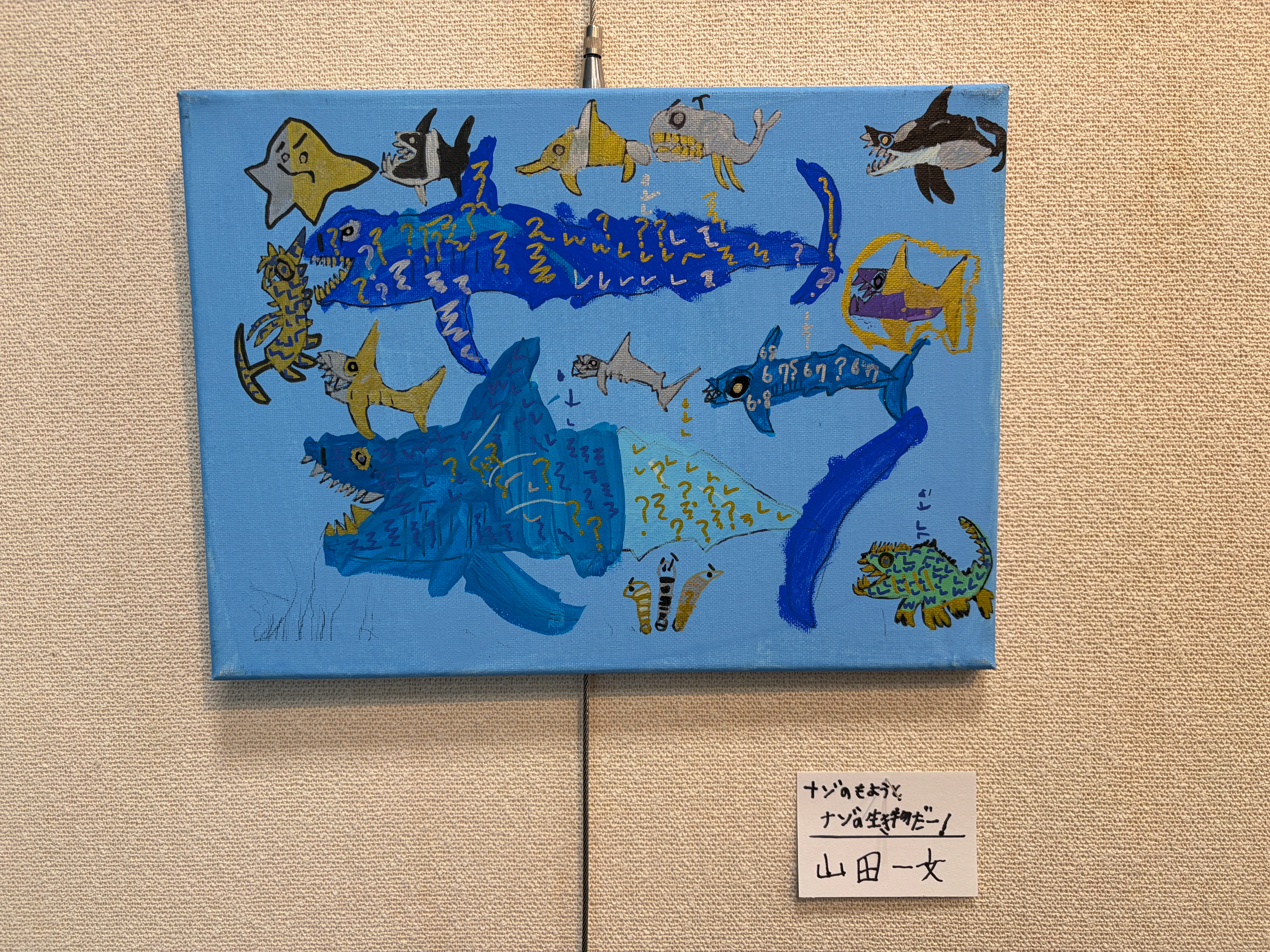 ナゾのもようとナゾの生き物だー！