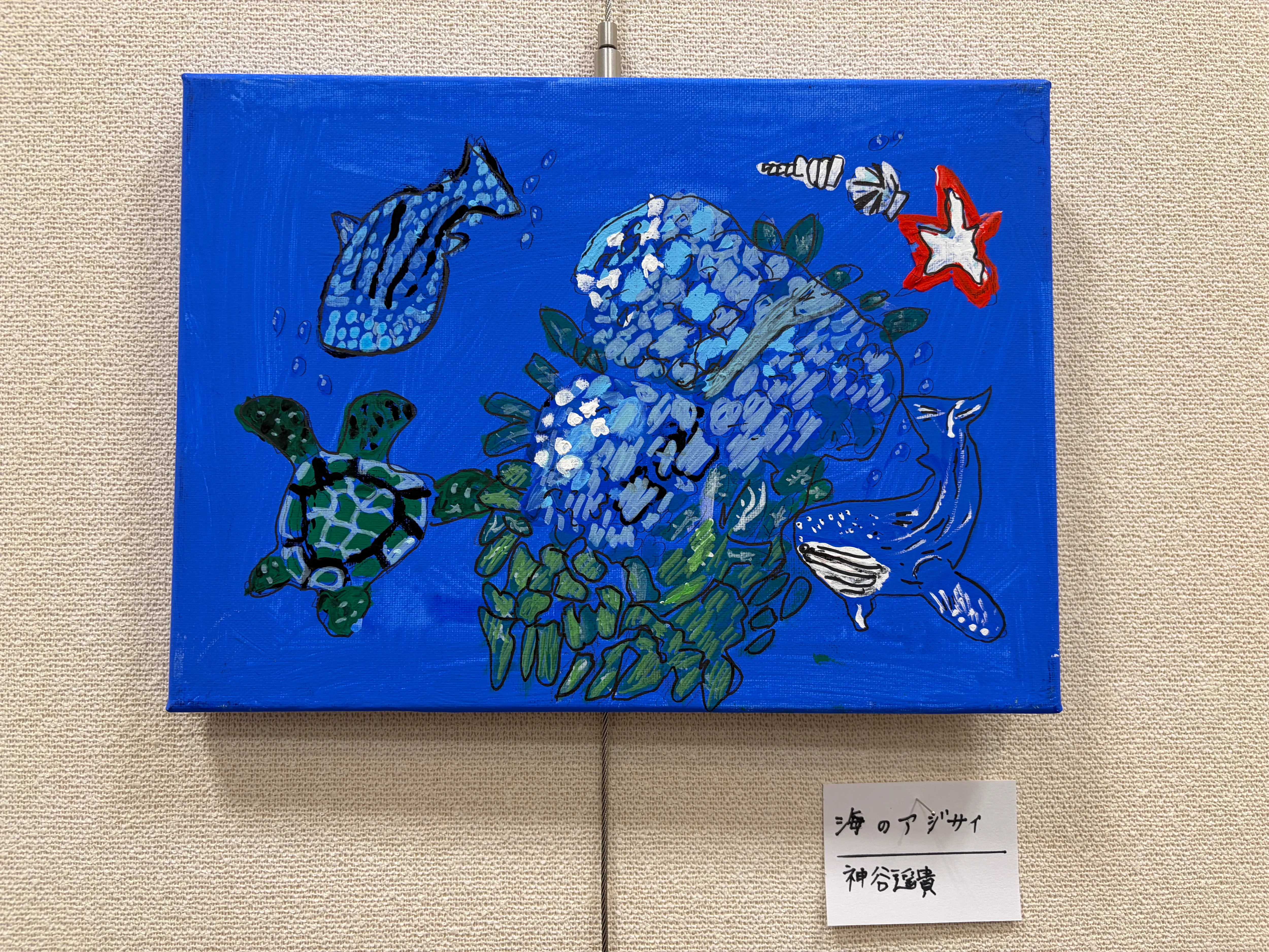 海のアジサイ