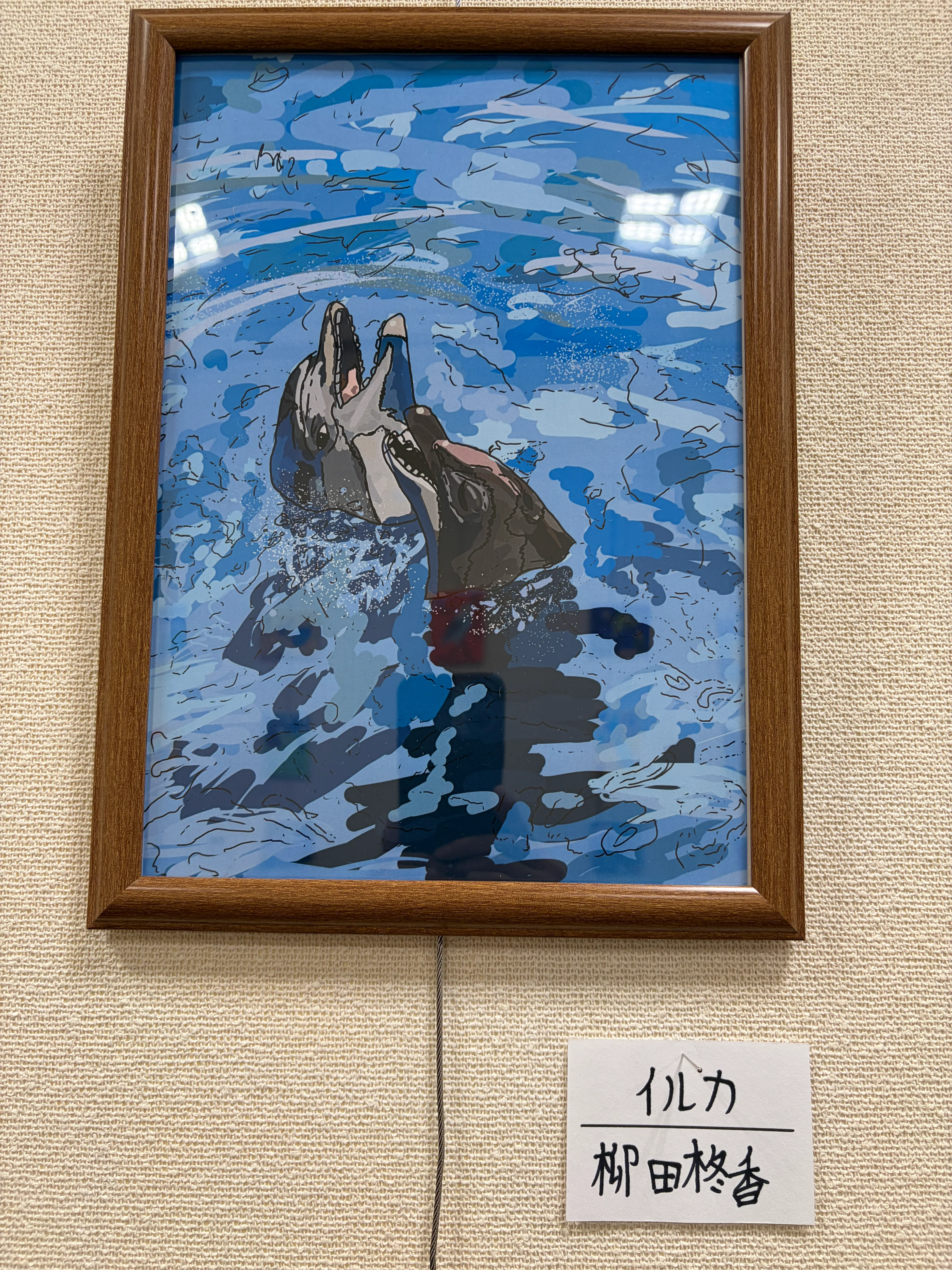 イルカ